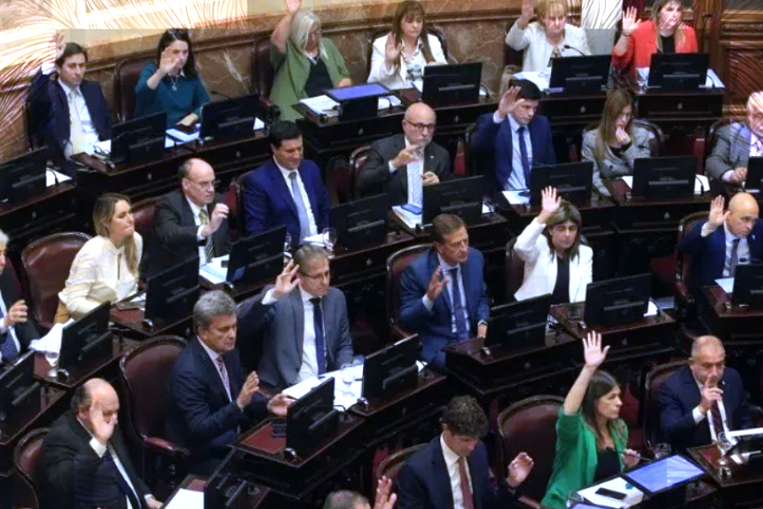 Un diputado cobra en un mes lo que un médico del Garrahan en casi un año