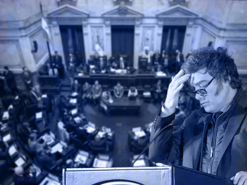 Levantan el veto a la ley de discapacidad y le ponen límites a los DNU