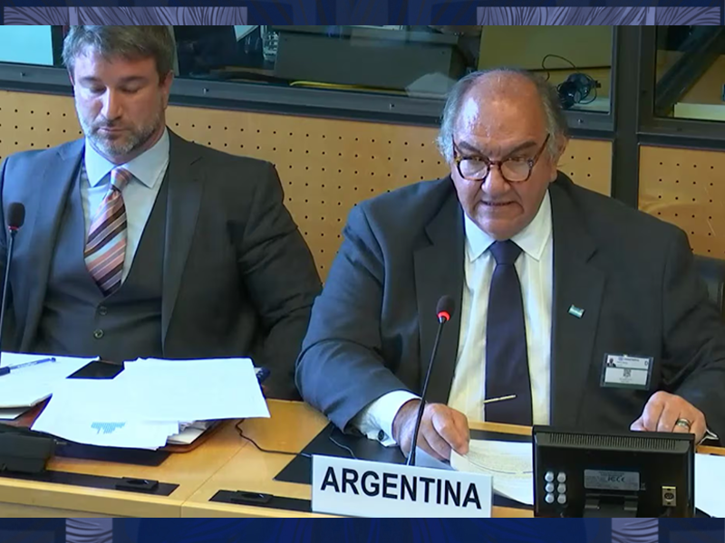 Negacionismo de Estado