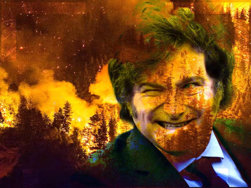 Incendios en la Patagonia: Tormenta perfecta para el desastre planificado